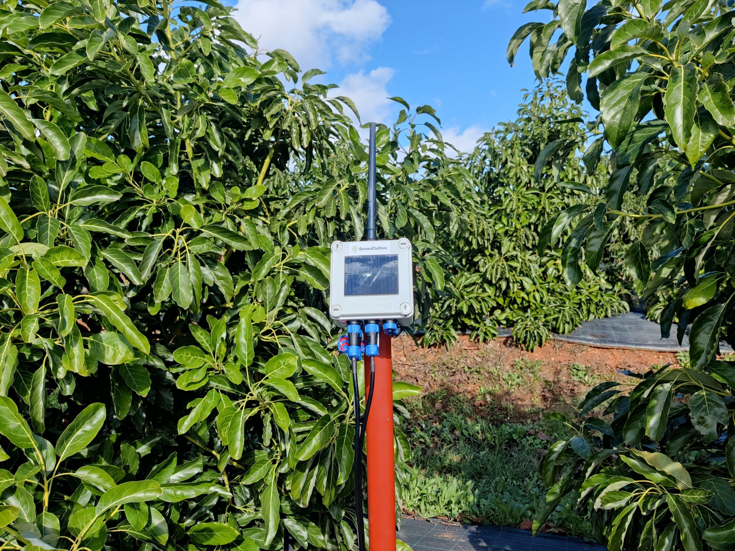 Digitalización de la agricultura
